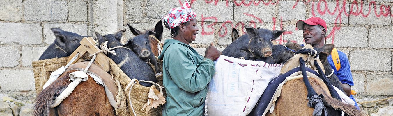 sm_loading-mules